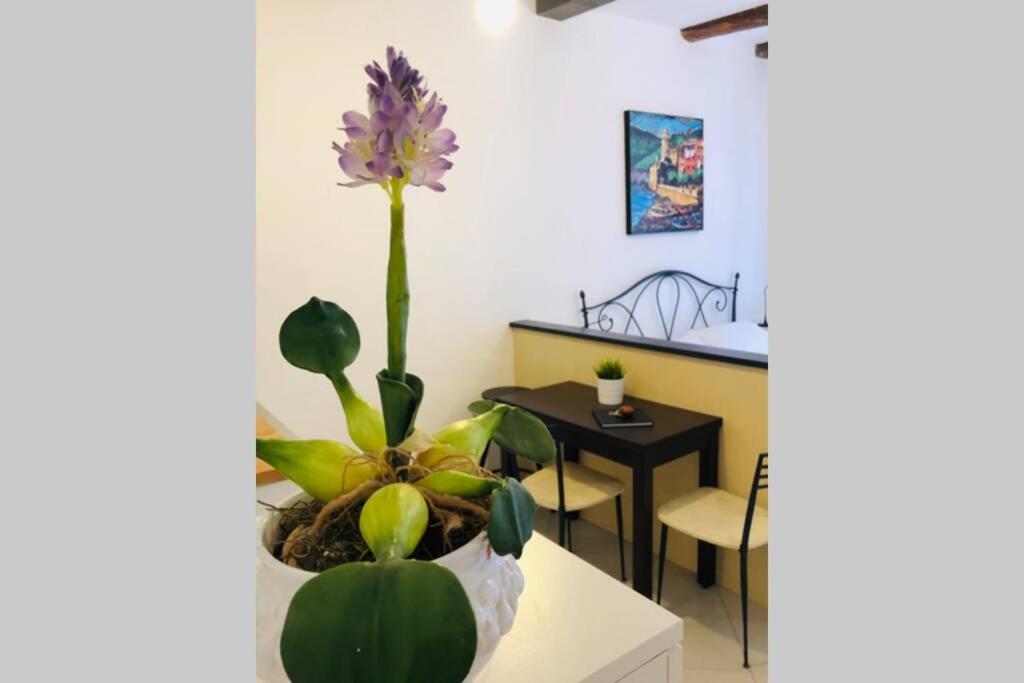 La Gianchina Di Vernazza - Central Cozy Apt Wi-Fi 외부 사진